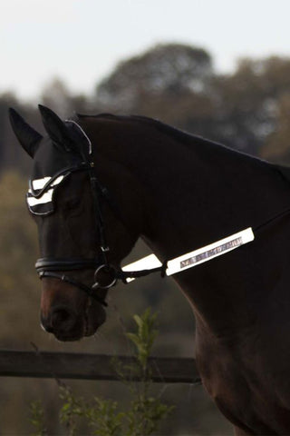 Teugelreflector 3-pack Zilver