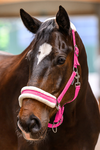 Elegante Halster Roze