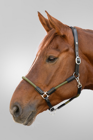 Leren Halster X-Line Nevada Zwart/Groen