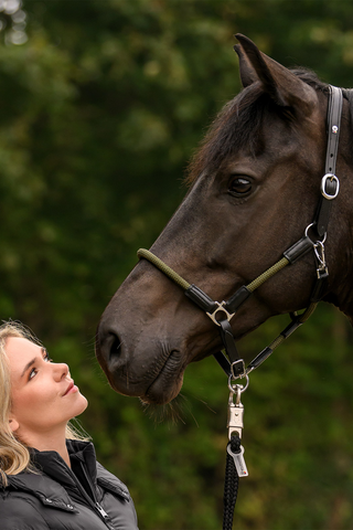 Leren Halster X-Line Nevada Zwart/Groen