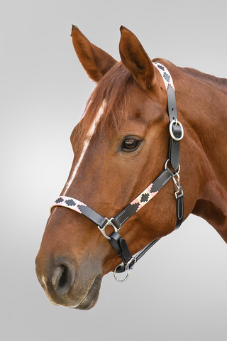 Lederhalfter X-Line Polo Rosa/Beige