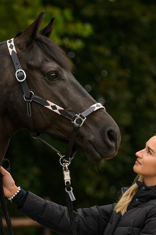 Lederhalfter X-Line Polo Rosa/Beige