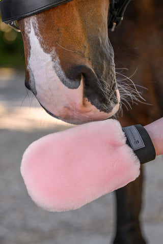 Lucky Gant de Toilettage en Peau de Mouton Rose