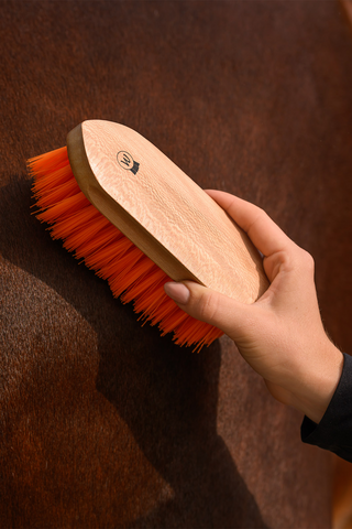Brosse à crinière Orange