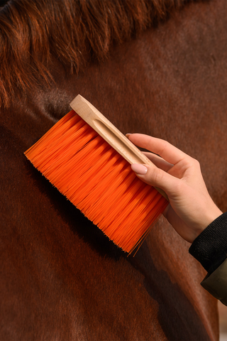 Brosse à crinière Soft Orange