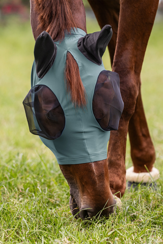 Puck Fliegenhaube Pine Green