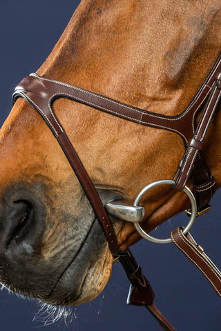 X-Fit Anatomisk Trense Dy'on Collection Brun