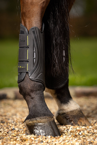 Protection postérieure XC MIMSafe