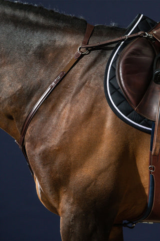 Collier de chasse avec pont New English marron