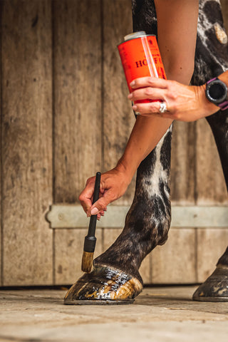 Huföl Vanner & Prest