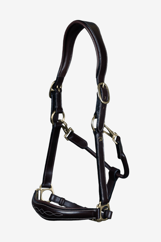 Licol en cuir 2-en-1 Dyon Collection Noir