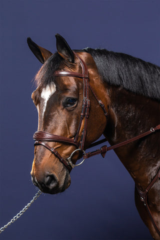 Bridon Anatomique Flash New English Marron