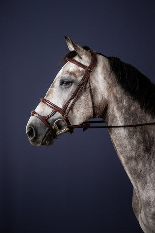 Bridle Double Noseband New English Brown