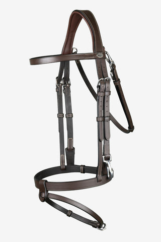 Smooth Combined Noseband Working