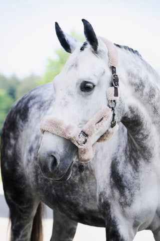 Complete Grimma Platinum SS24