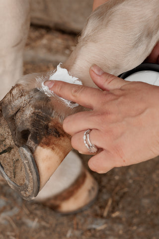 Mud Fever Cream Plus 250ml