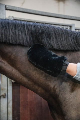 Lamswollen Poets Handschoen