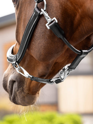 Grooming Halter Leather