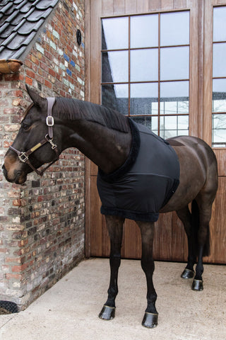Protection de Poitrail Noir