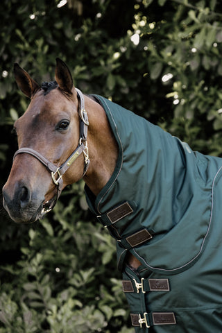 Neck All Weather Pro 150g Dark Green