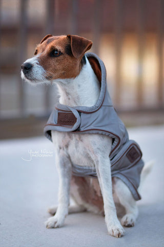 Manteau pour chien réfléchissant