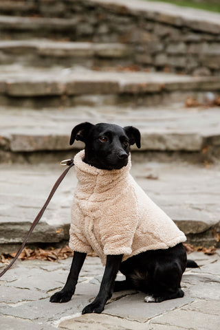 Teddy Fleece Hundetrøje