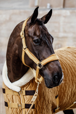 Show deken velvet 160g mosterd
