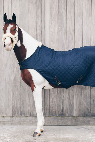 Walker Rug 160g Navy