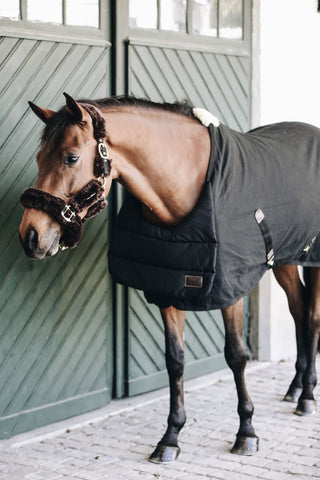 Blanket Bib Summer