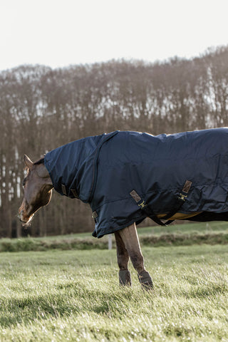 Outdoor Rug All Weather Pro 300g Navy