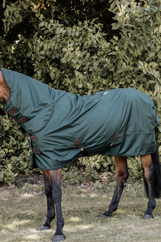 Outdoor Rug All Weather 160g Dark Green