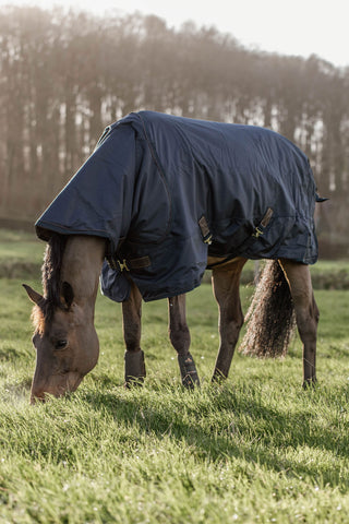Outdoor Rug All Weather Pro 300g Navy