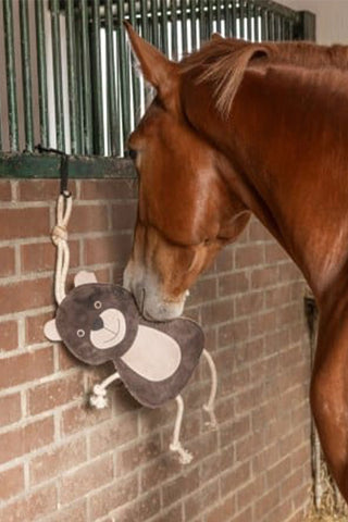 Jouet pour cheval Ours
