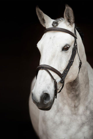 Sir Patric Bride Marron
