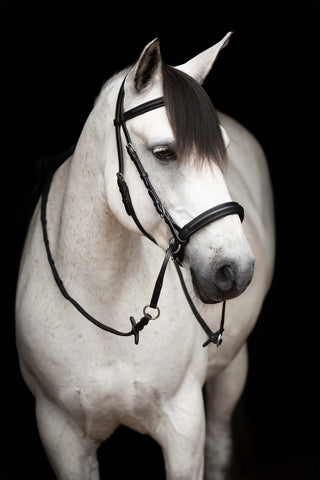 Supreme Bitless Bridle