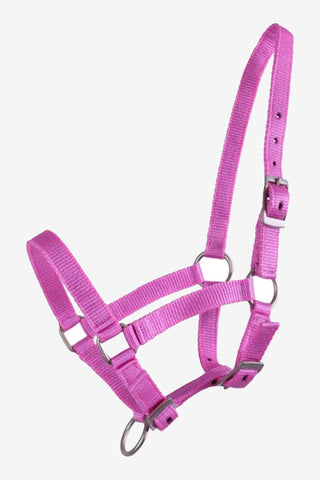 Veulenhalster Roze