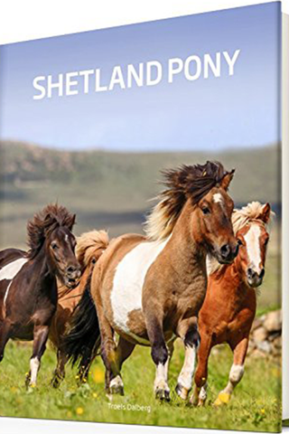 Shetlandpony Boek