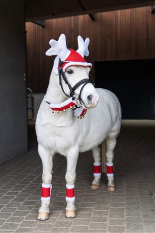 Kerst Teugelbelletjes 2 stuks