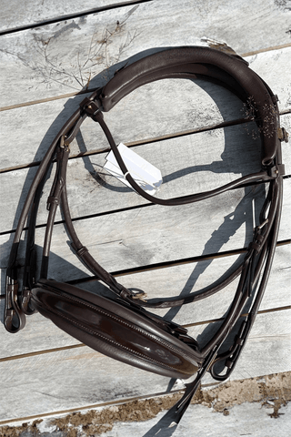 Utzon Equestrian Kandar Edinburgh